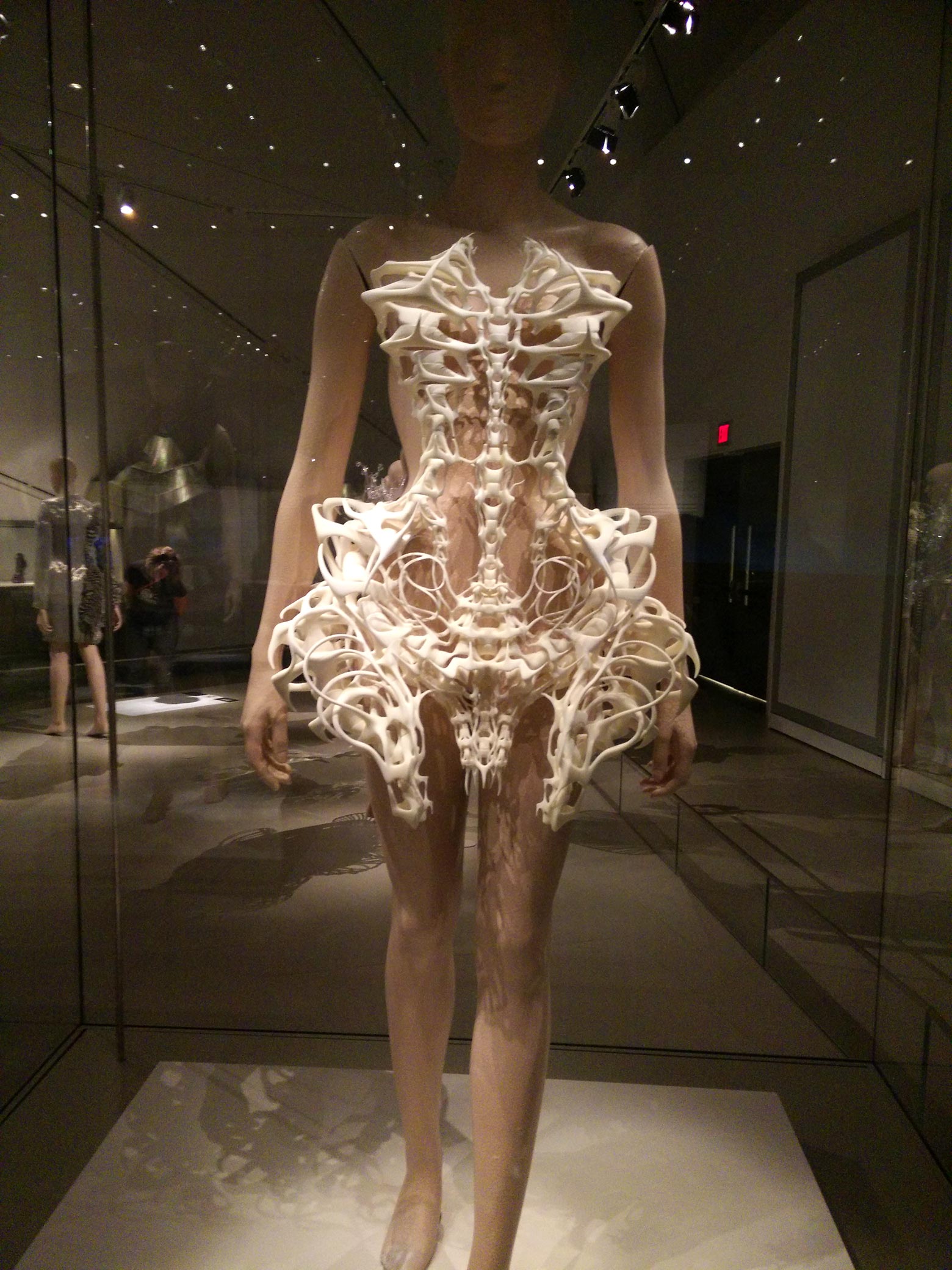The Skeleton Dress